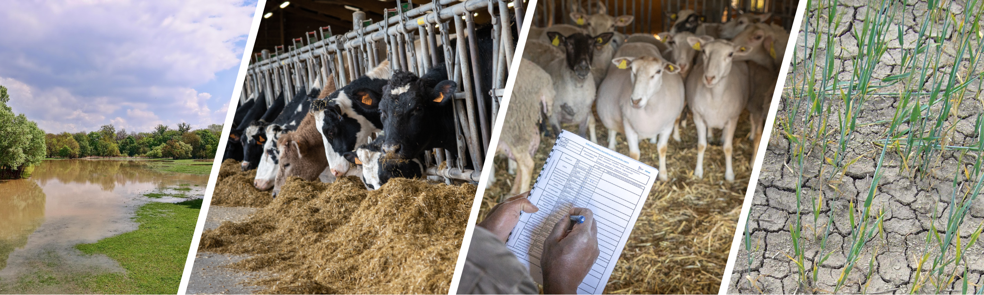 bannière PNDAR 2026 (1).png